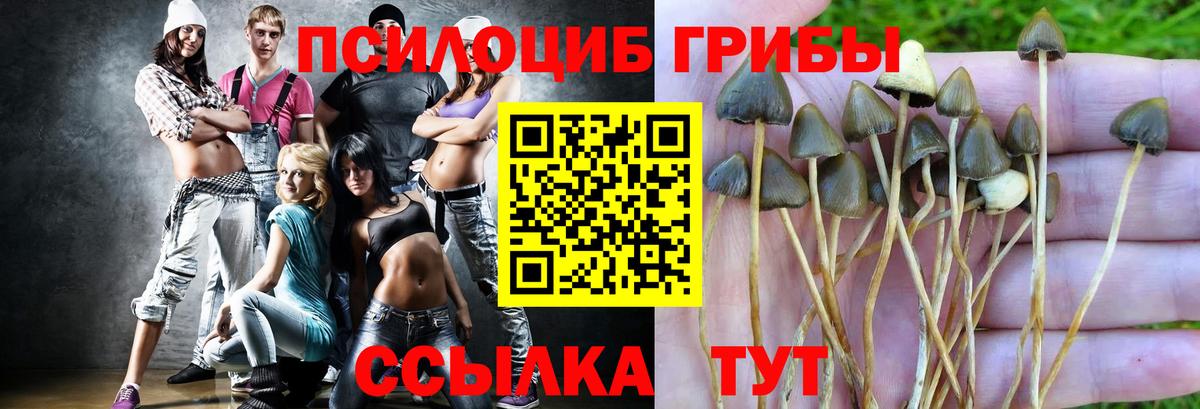 Псилоцибиновые грибы GOLDEN TEACHER Юрга